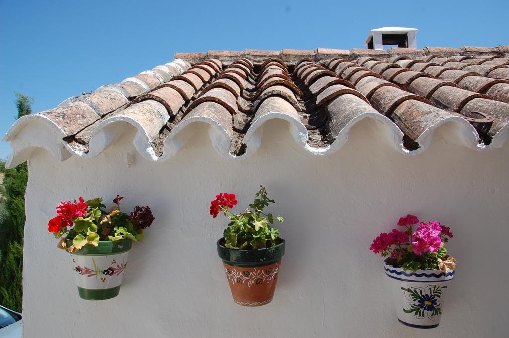 La Escuela del Campo Setenil De Las Bodegas Exterior foto